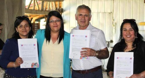 APR de Ñancul Norte de Villarrica ya tiene Luz Verde