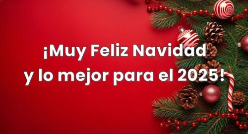 Feliz Navidad y Un Próspero Año 2025
