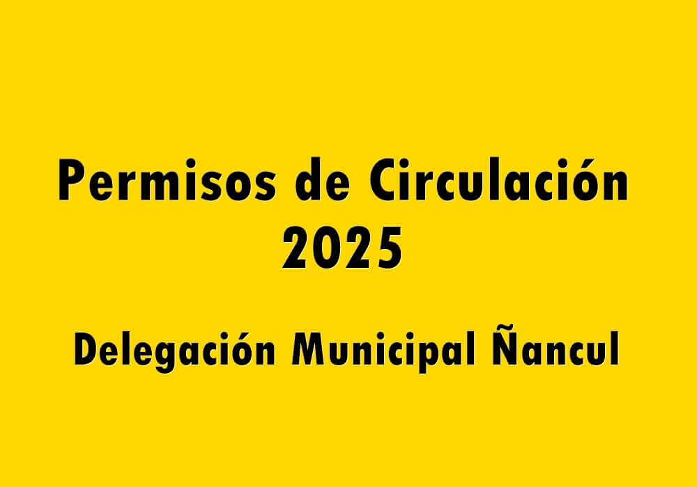 Permiso de circulación 2025 – Ñancul